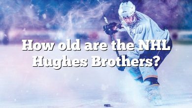 How old are the NHL Hughes Brothers?