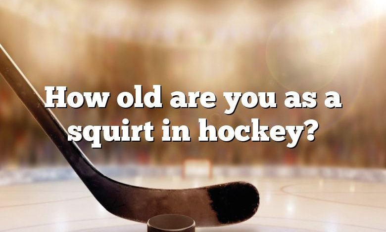 How old are you as a squirt in hockey?