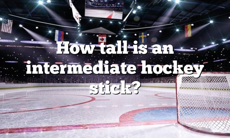 How tall is an intermediate hockey stick?