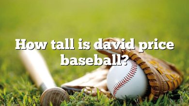 How tall is david price baseball?