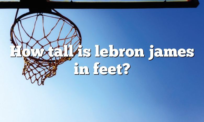 How tall is lebron james in feet?