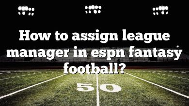 How to assign league manager in espn fantasy football?