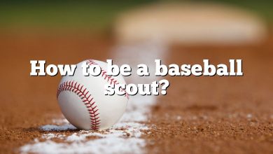 How to be a baseball scout?