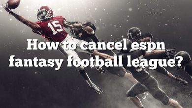 How to cancel espn fantasy football league?
