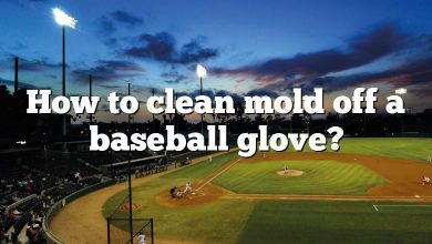 How to clean mold off a baseball glove?
