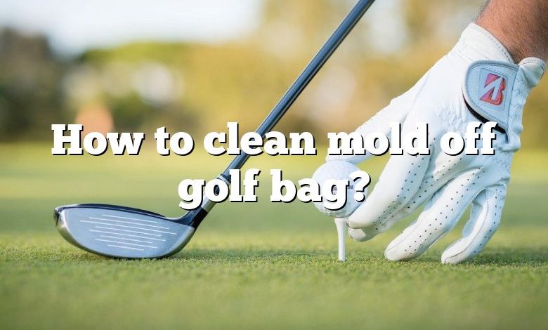 How to clean mold off golf bag?