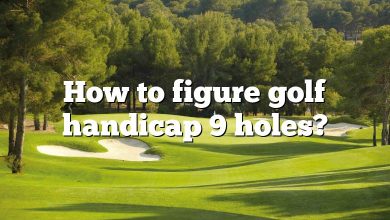How to figure golf handicap 9 holes?