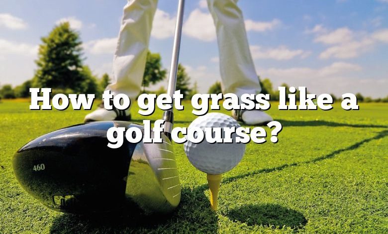 How to get grass like a golf course?