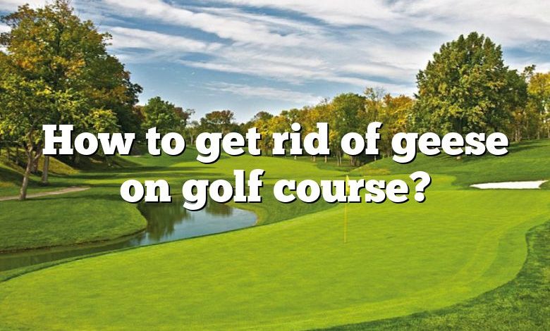 How to get rid of geese on golf course?