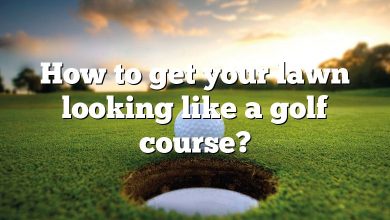 How to get your lawn looking like a golf course?