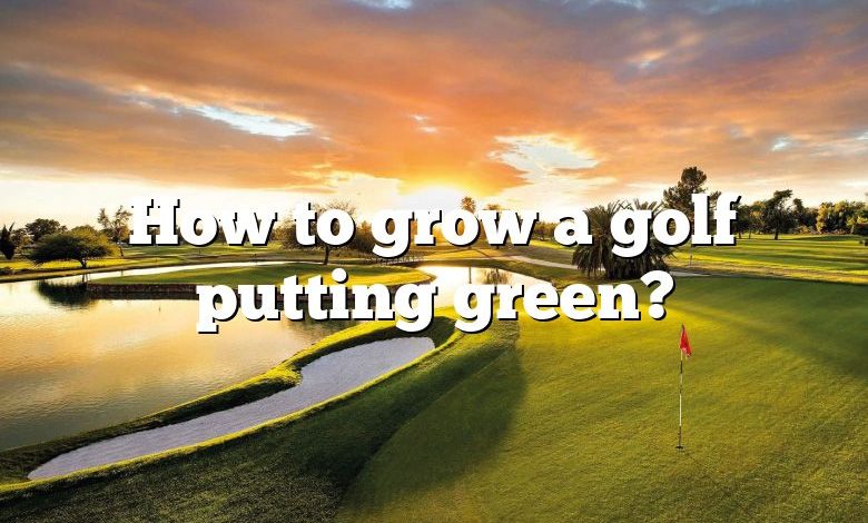 How to grow a golf putting green?