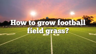 How to grow football field grass?