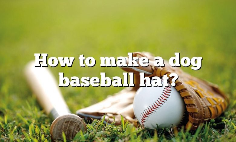 Comment faire une casquette de baseball pour chien ?