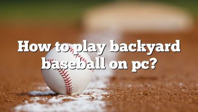 How to play backyard baseball on pc?