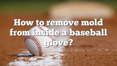 How to remove mold from inside a baseball glove?