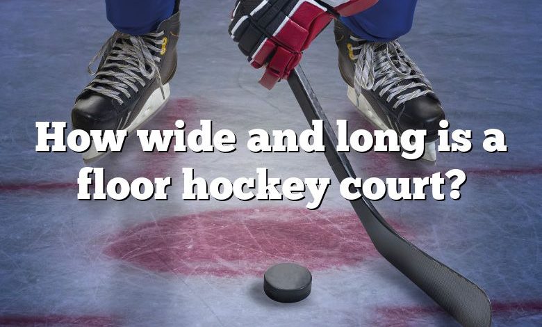 How wide and long is a floor hockey court?