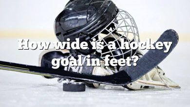 How wide is a hockey goal in feet?