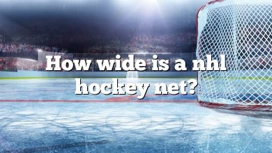 How wide is a nhl hockey net?