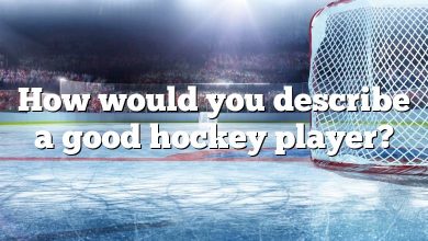 How would you describe a good hockey player?