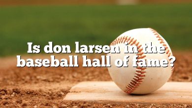 Is don larsen in the baseball hall of fame?