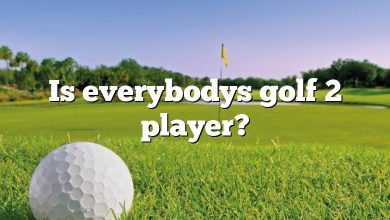 Is everybodys golf 2 player?