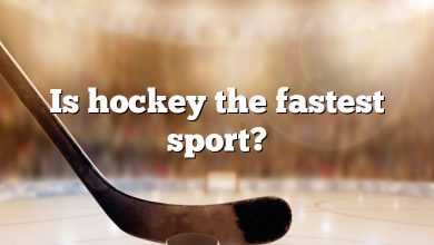 Is hockey the fastest sport?
