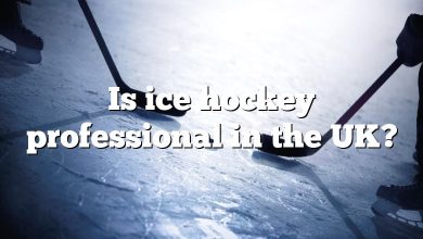 Is ice hockey professional in the UK?