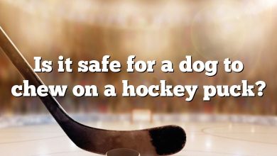 Is it safe for a dog to chew on a hockey puck?
