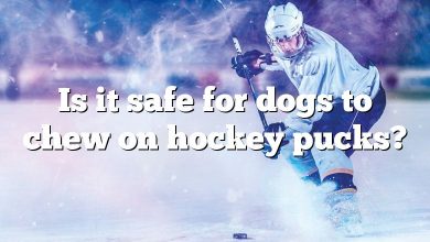 Is it safe for dogs to chew on hockey pucks?