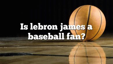 Is lebron james a baseball fan?