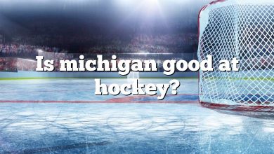 Is michigan good at hockey?