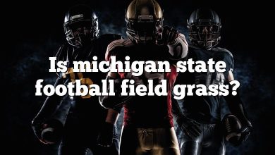 Is michigan state football field grass?