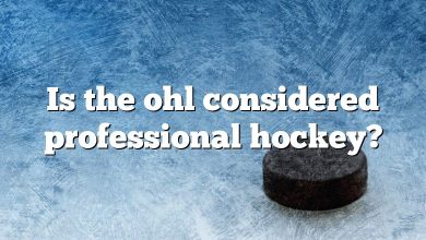 Is the ohl considered professional hockey?