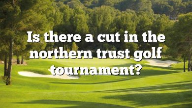 Is there a cut in the northern trust golf tournament?