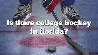 Is there college hockey in florida?