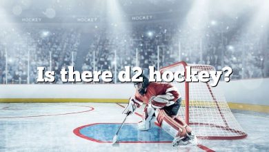 Is there d2 hockey?