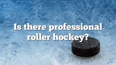 Is there professional roller hockey?