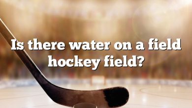 Is there water on a field hockey field?