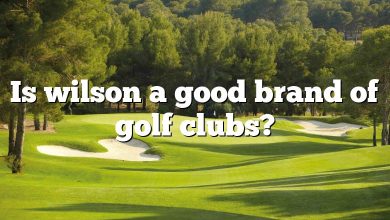 Is wilson a good brand of golf clubs?