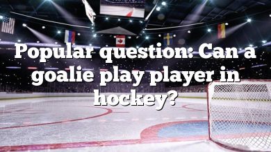 Popular question: Can a goalie play player in hockey?