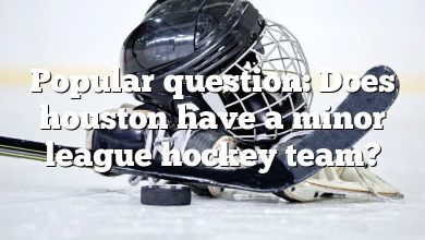 Popular question: Does houston have a minor league hockey team?