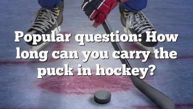 Popular question: How long can you carry the puck in hockey?