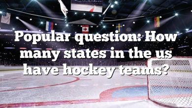 Popular question: How many states in the us have hockey teams?