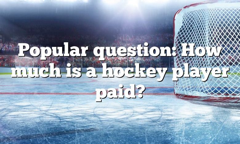 Popular question: How much is a hockey player paid?