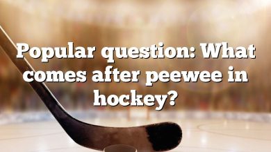 Popular question: What comes after peewee in hockey?