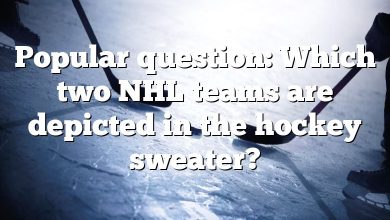 Popular question: Which two NHL teams are depicted in the hockey sweater?