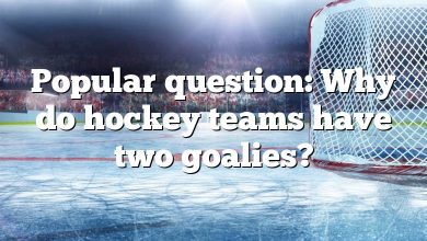 Popular question: Why do hockey teams have two goalies?