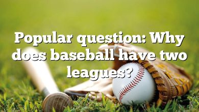 Popular question: Why does baseball have two leagues?