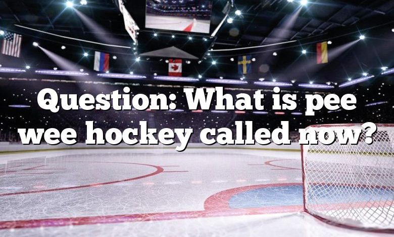 Question: What is pee wee hockey called now?