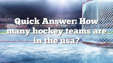 Quick Answer: How many hockey teams are in the usa?